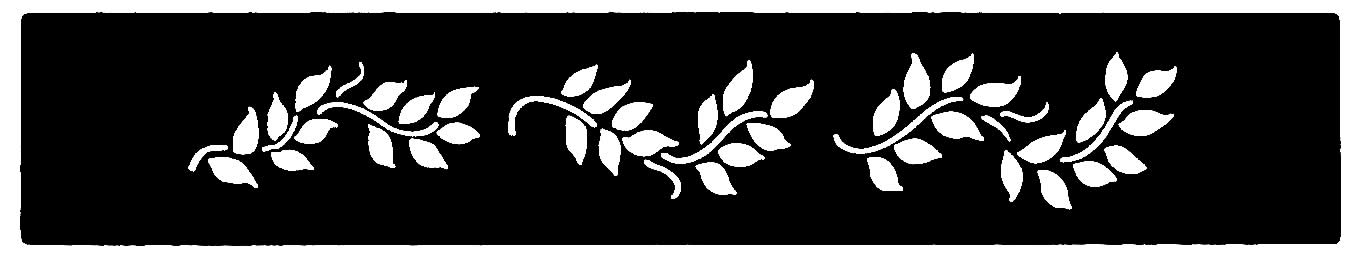 Brass Border Stencil DT2