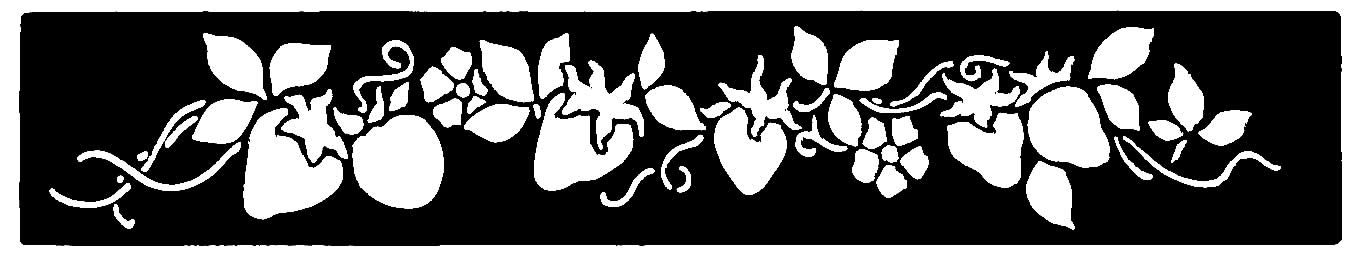 Brass Border Stencil DT2