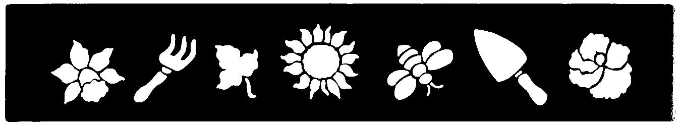 Brass Border Stencil DT3