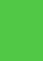 Foam Sheets - Light Green 10 pcs