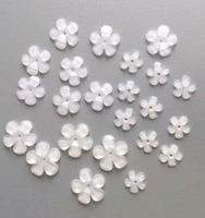 Resin Flowers - Forget Me Not White 23pcs