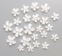 Resin Flowers - Blossom White 23pcs