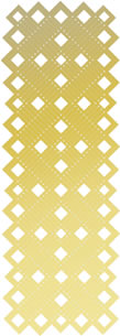 Hardanger Stencil DP2