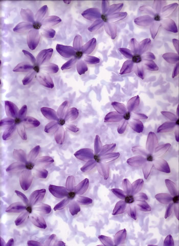 Transparent 3D Vellum - Hyacynth