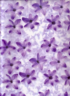 Transparent 3D Vellum - Hyacynth Transparent 3D Vellum - Hyacynth