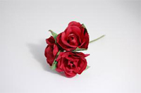 Tea Roses x3 Burgundy Tea Roses x3 Burgundy