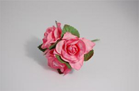 Tea Roses x3 Pink Tea Roses x3 Pink