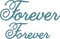 75% OFF  Cheery Lynn Designs Dies - Forever (Set of 2)