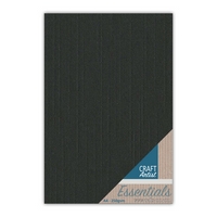 Craft Artist Essential Card - Black