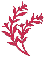 Crafts Too Cutting and Embossing Stencils