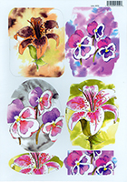 A4 Card Toppers - Flowers 3