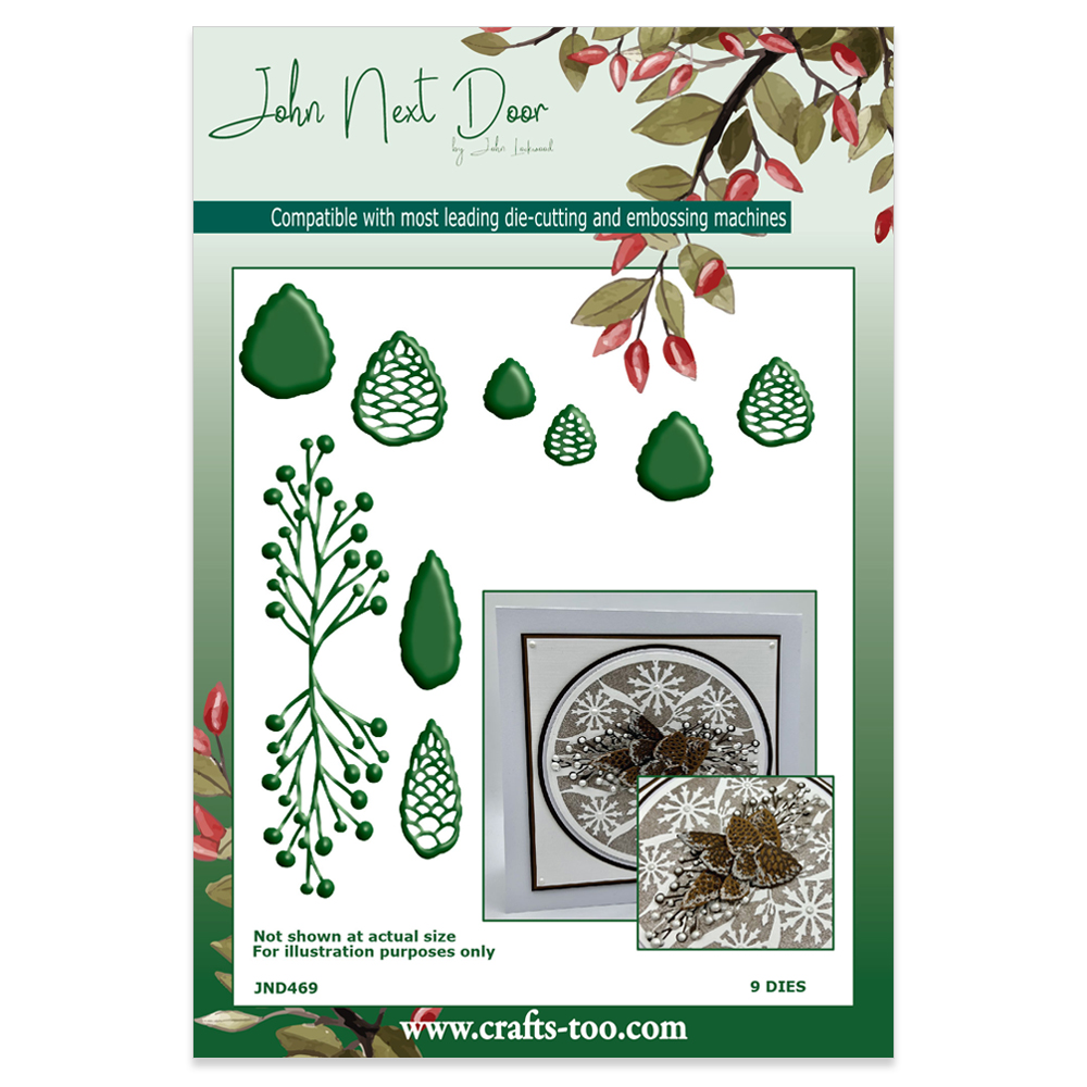 John Next Door Christmas - Pinecones
