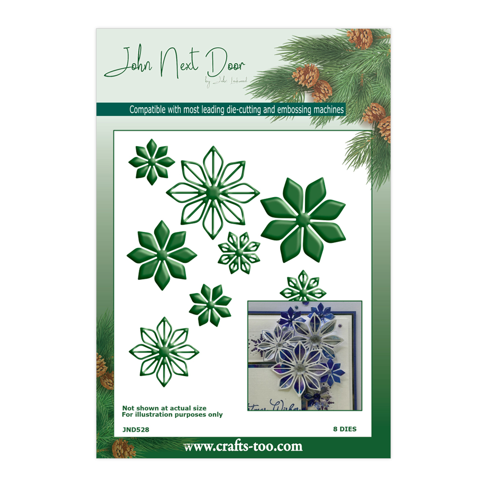 NEW John Next Door Christmas - Snow Crystal Flower