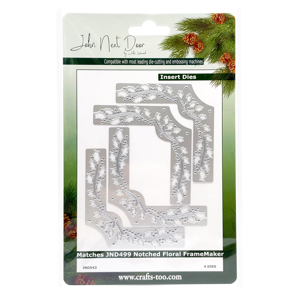 John Next Door Christmas - Holly Flourish Insert