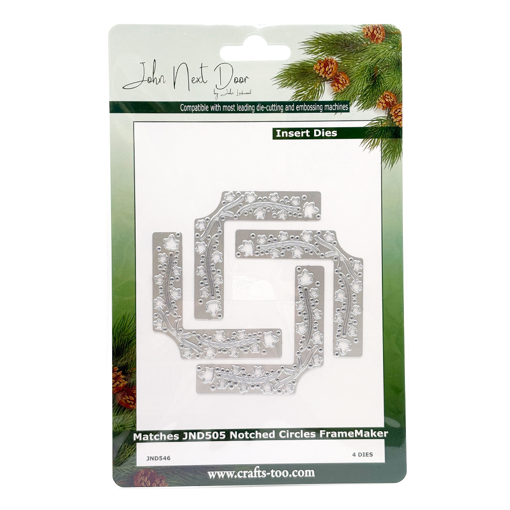 John Next Door Christmas - Ivy Flourish Insert