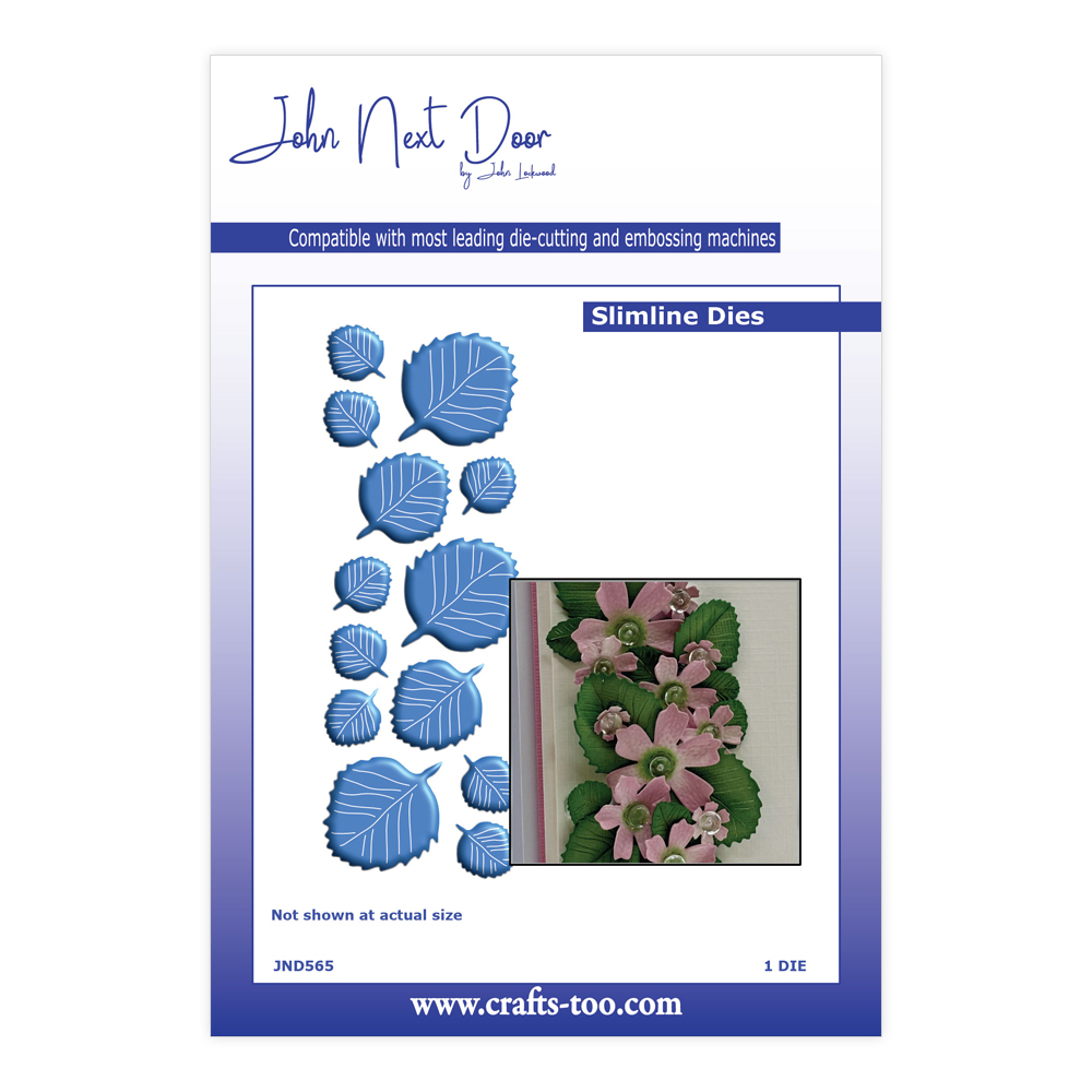 John Next Door - Strawberry Leaves