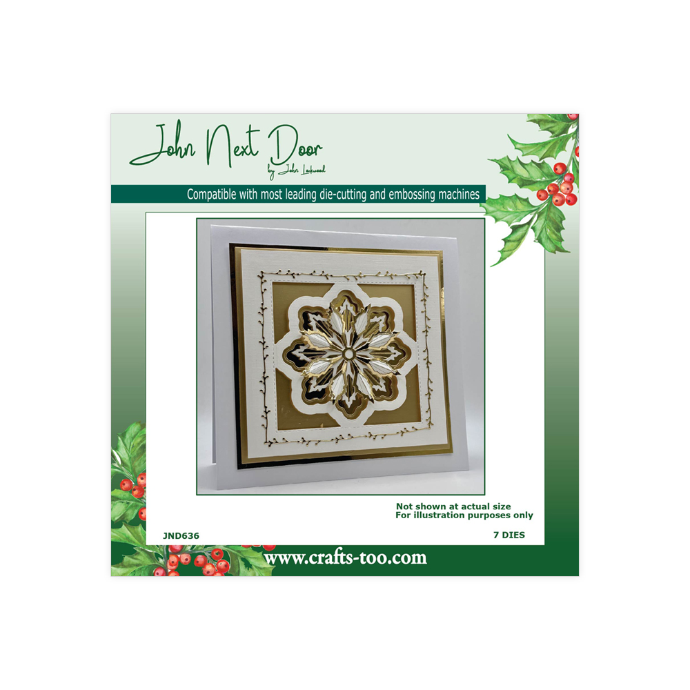 NEW John Next Door - Shard Flower Frame
