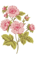 Nellie Snellen Layered Stamps - Roses Branch