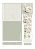Card Kit Pirimage A4 Die Cut 10 Sheets Card Kit Pirimage A4 Die Cut 10 Sheets