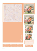 Card Kit Pirimage A4 Die Cut 10 Sheets Card Kit Pirimage A4 Die Cut 10 Sheets