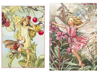 Studiolight Card Pack - Flower Fairies 15 x 10,5 cm