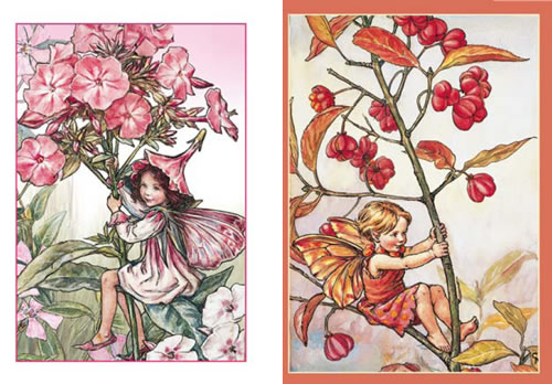 Studiolight Card Pack - Flower Fairies 15 x 10,5 cm