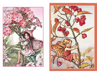 Studiolight Card Pack - Flower Fairies 15 x 10,5 cm