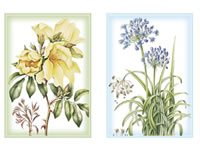 Studiolight Card Pack - Janneke Brinkman 15 x 10,5 cm