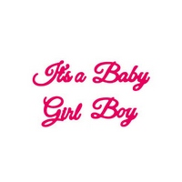 Presscut Cutting Die - It's a Baby Girl Boy (4pcs)