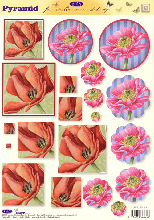 Pyramid 3D - Flowers (10 Sheets) NOW HALF PRICE