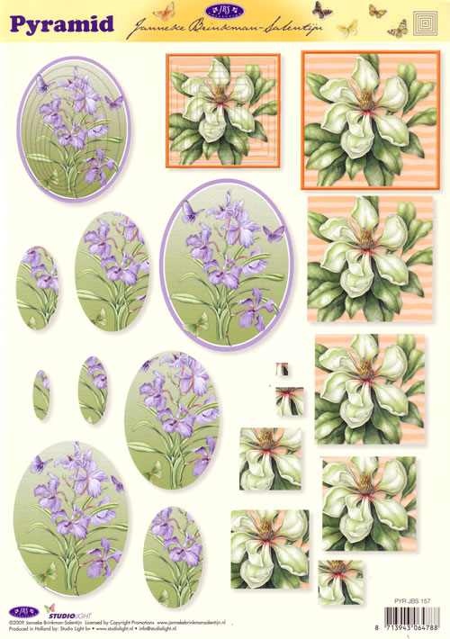 Pyramid 3D - Flowers (10 Sheets) NOW HALF PRICE