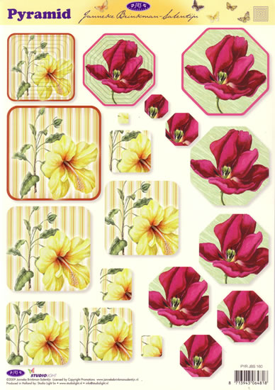 Pyramid 3D - Flowers (10 Sheets) NOW HALF PRICE