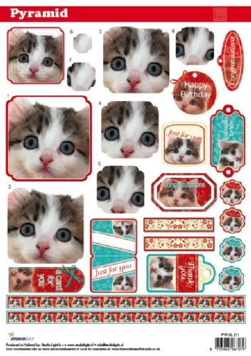 Pyramid 3D - Cats (10 Sheets) NOW HALF PRICE