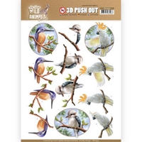Amy Design Wild Animals Outback 3D Pushout - Parrot Amy Design Wild Animals Outback 3D Pushout - Parrot