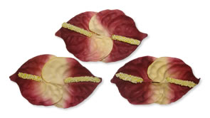 Paper Flowers - Mini Anthurium (Pack of 6) Paper Flowers - Mini Anthurium (Pack of 6)